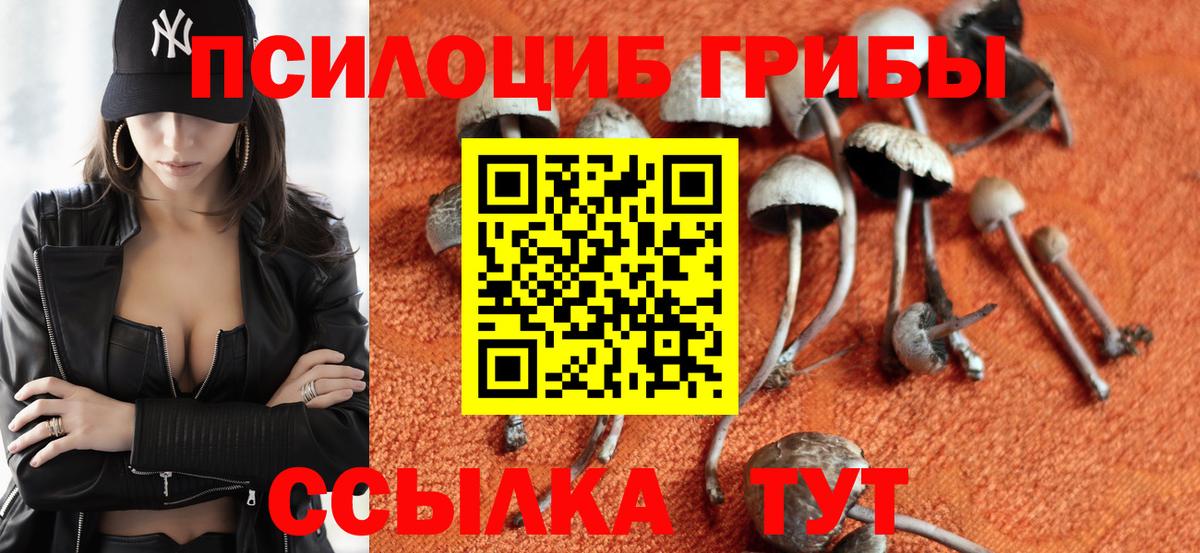 Псилоцибиновые грибы ЛСД  Галлюциногенные грибы ЛСД  Богородск  Вход с VPN 
