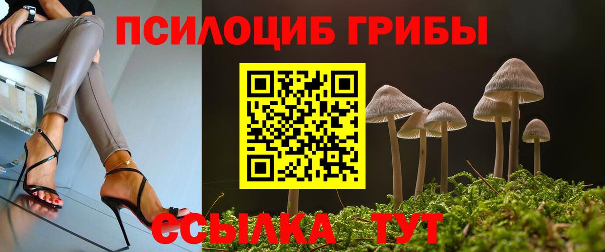 Псилоцибиновые грибы мицелий Богородск